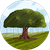 Ben Williams